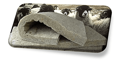 Floor-Sheep