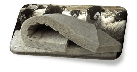 Floor-Sheep Floor-Sheep